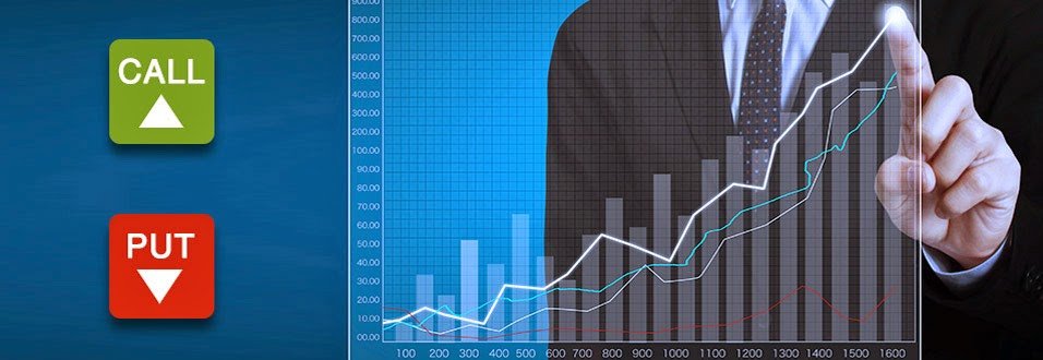 الخبرة الثنائية (أكاديمية + عملية)